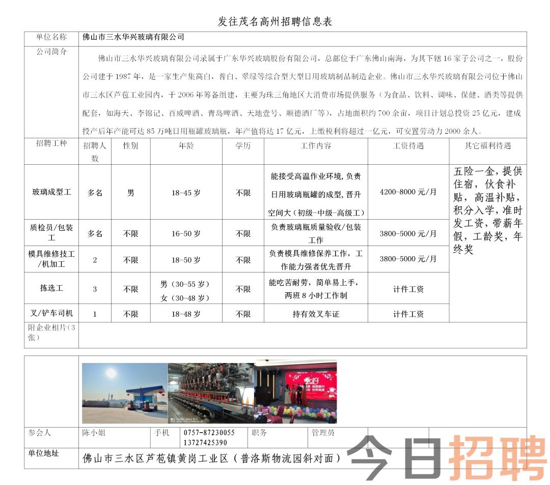 阜沙镇最新招聘信息全面解析