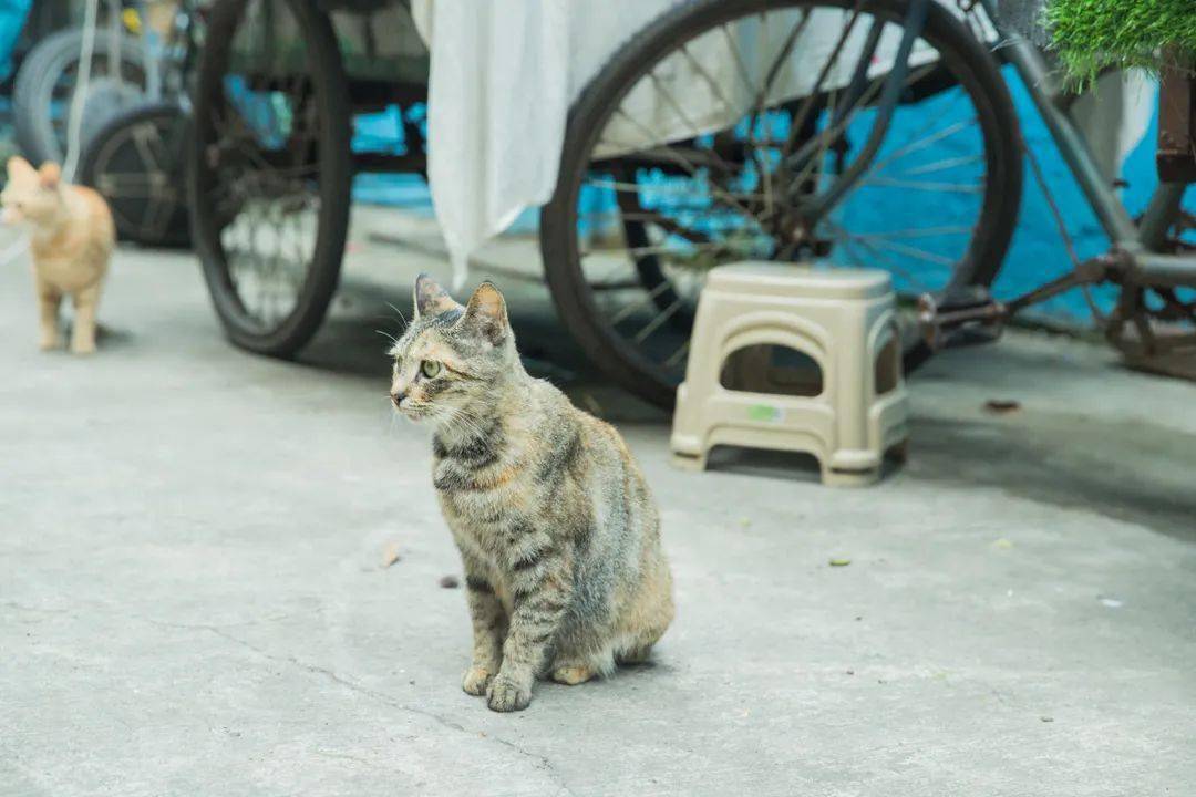 裕南街街道最新天气预报