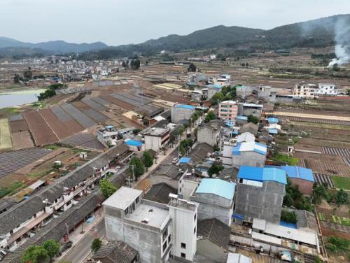 西一村委会新任领导团队引领村庄发展新征程