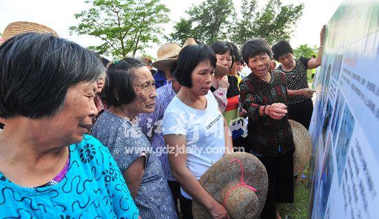 雷州市农业农村局最新项目，推动农业现代化，助力乡村振兴